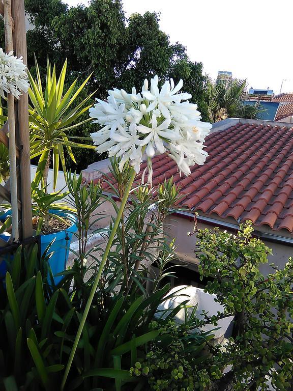 Nikita Traditional House Villa Chania  Phòng bức ảnh